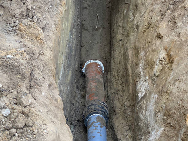 Best Flooded house restoration  in Highland Park, MI