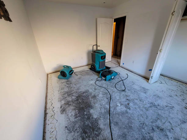 Best Ceiling water damage repair  in Highland Park, MI